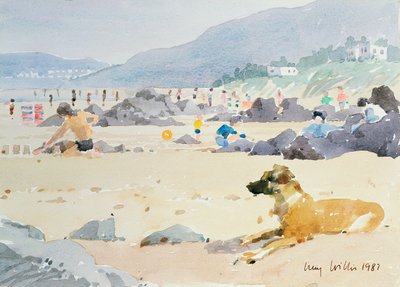 Perro en la playa, Woolacombe, 1987 de Lucy Willis